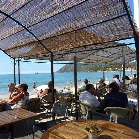 Location Saisonniere Les Pieds Dans L'eau * La Seyne-sur-Mer